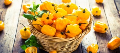 Peperoncini dolci: 6 varietà da utilizzare in cucina