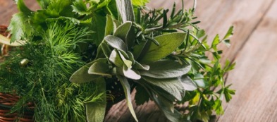 L'orto di Marco: aromatiche e armonia nel giardino di casa