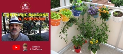L'orto sul balcone di Piergiorgio: video trapianto delle peperoni