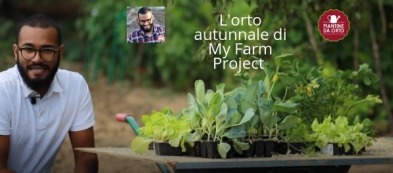 Ecco a voi l'orto autunnale di My Farm Project