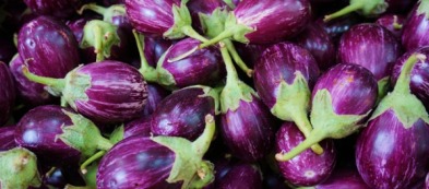 Melanzane: tanto gusto e varietà per il tuo orto di casa