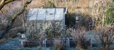 Cosa fare nell'orto a dicembre: i lavori del mese