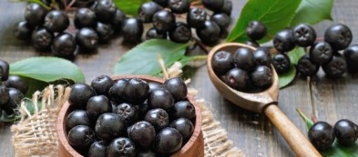 Aronia: pianta dai frutti preziosi, non solo ornamentale