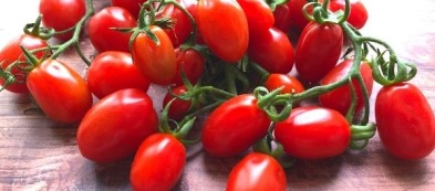 Pomodori datterini, come coltivarli e consigli utili