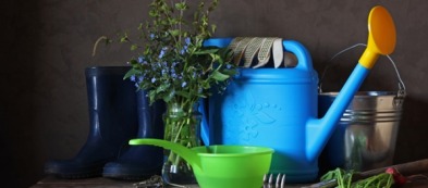 L'orto mese per mese: maggio