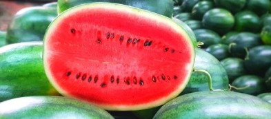 Angurie: semplici da coltivare e deliziose in cucina