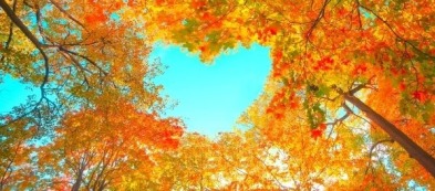 Cosa fare nell'orto a novembre: ecco i lavori del mese