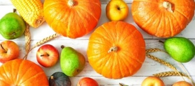 Cosa trapiantare nell'orto a novembre: scopri i trapianti del mese