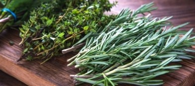 Erbe aromatiche a Natale: ecco quelle che non possono mancare!