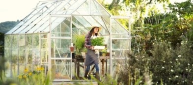 Come costruire una serra: breve guida per un orto perfetto tutto l'anno