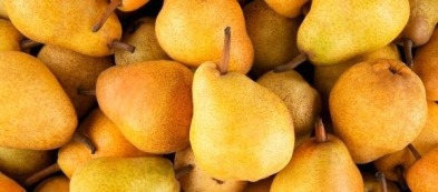 Pianta di Pero Williams: la varietà perfetta da coltivare