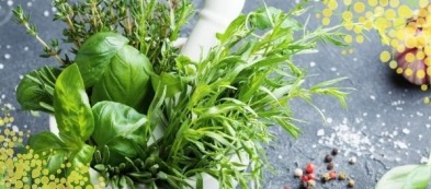 Le piantine da regalare l'8 marzo: non solo la mimosa rappresenta la donna