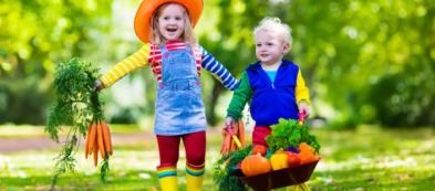 Di che orto siete? Tre tipi diversi di orto domestico