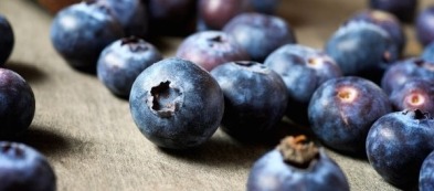 Il mirtillo, un vero e proprio elisir di lunga vita nel tuo orto