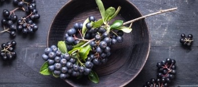 Aronia, la siepe da frutto: che cos'è e come si coltiva questa pianta