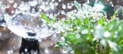 Tutte le pratiche d'irrigazione per avere sempre un orto in salute