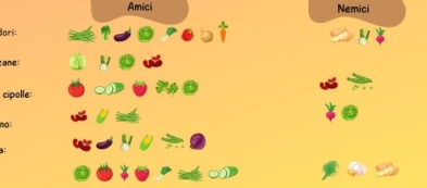 COME COLLOCARE LE TUE PIANTINE NELL'ORTO?