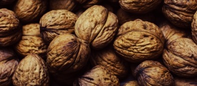 Come coltivare il noce in giardino