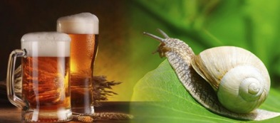 Smezza la birra con le lumache!